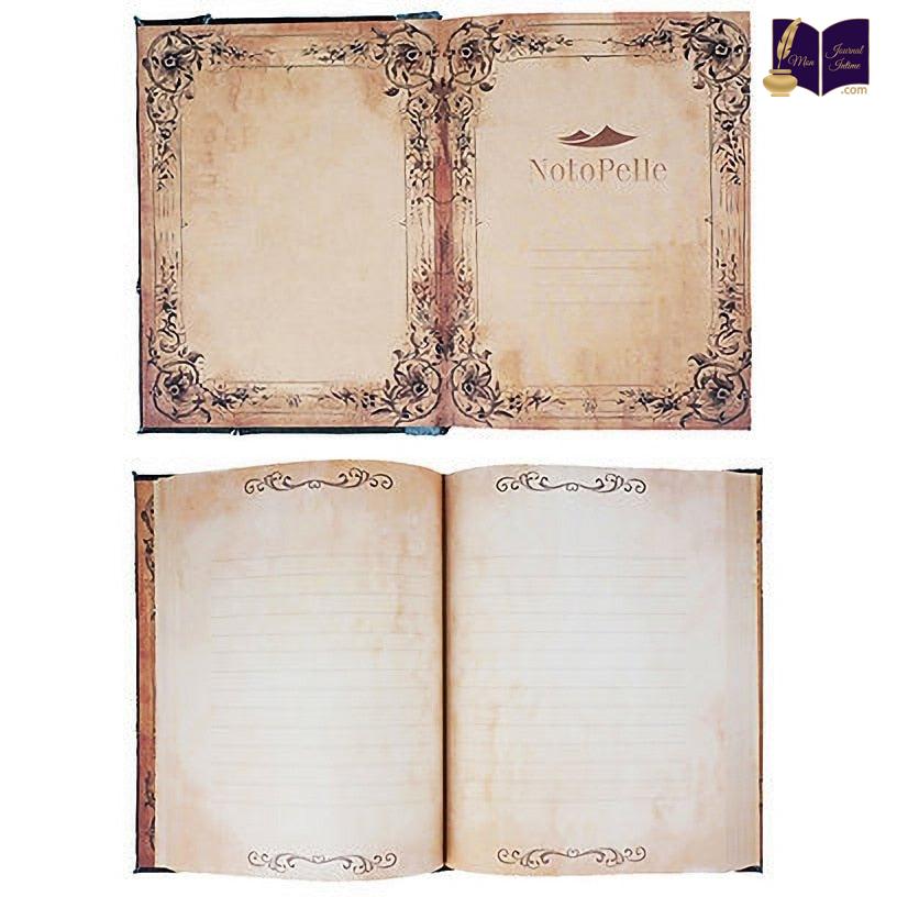 journal intime avec cadenas action